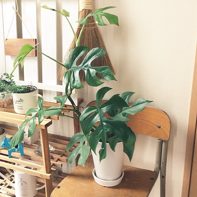 enikkiさんの実例写真