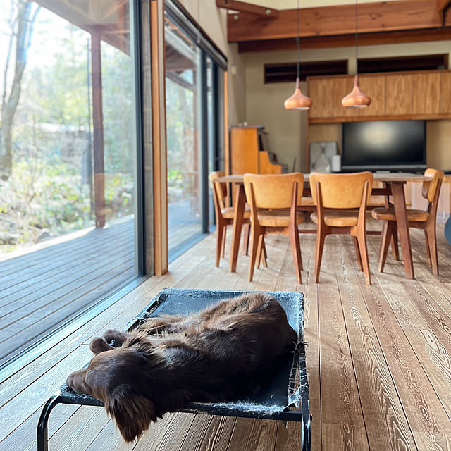 Kikko.さんの部屋