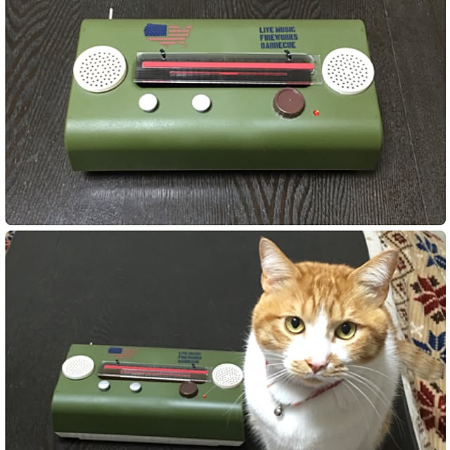 nyanyakoさんの実例写真