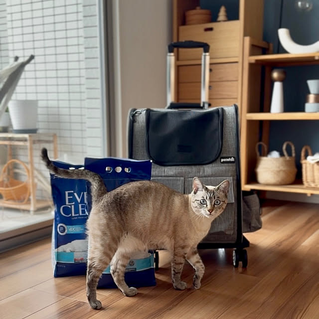 amさんの部屋
