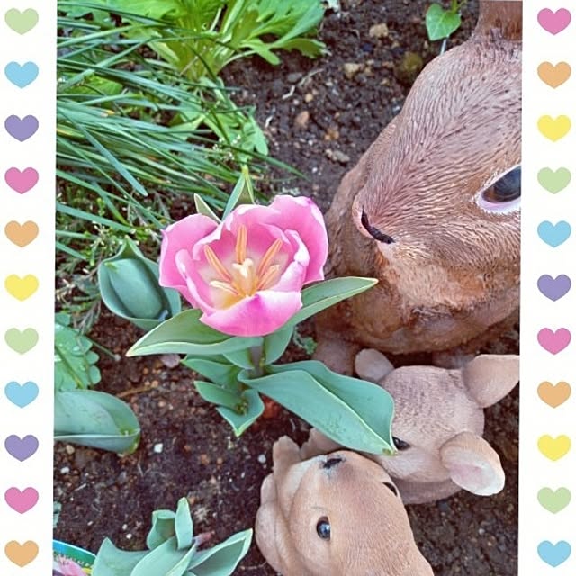 mocomocoさんの実例写真
