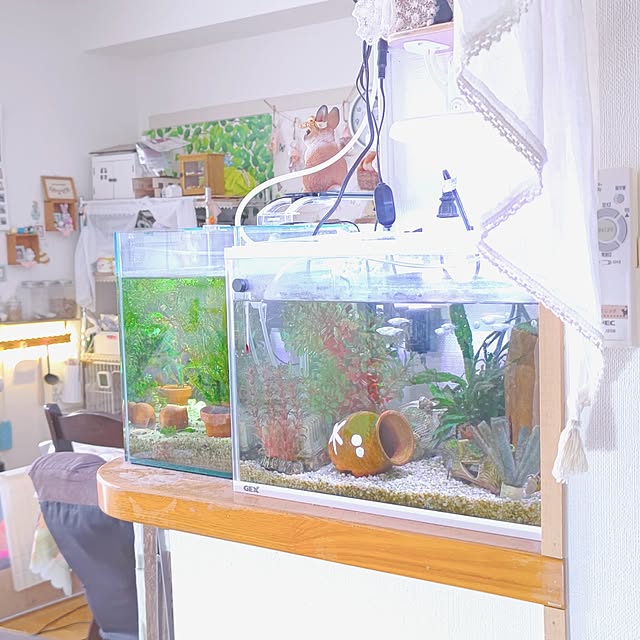 mariaさんの部屋