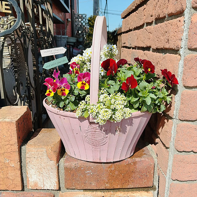 mukkuさんの実例写真