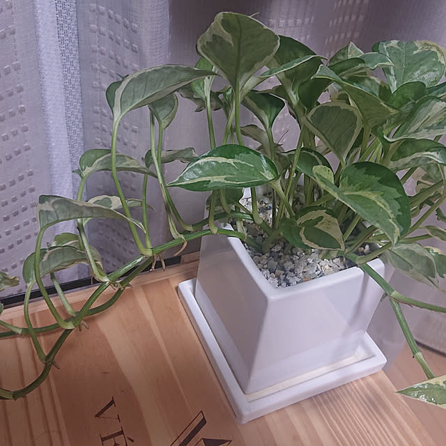 NAOKIさんの実例写真
