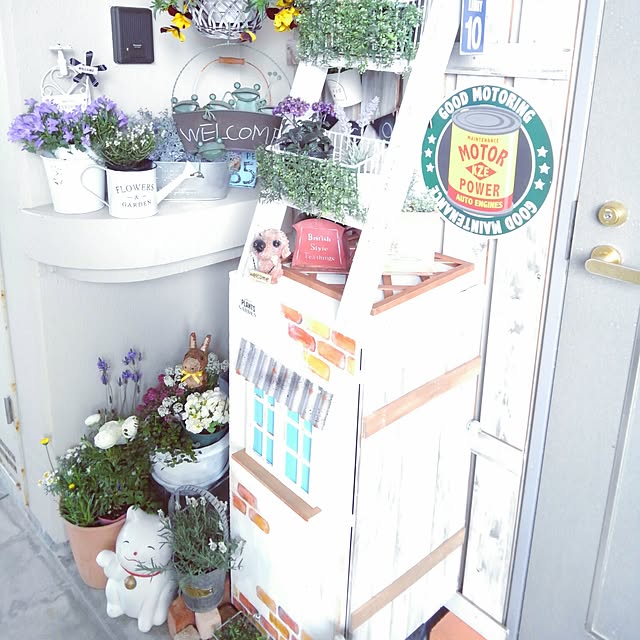 DandYkさんの実例写真