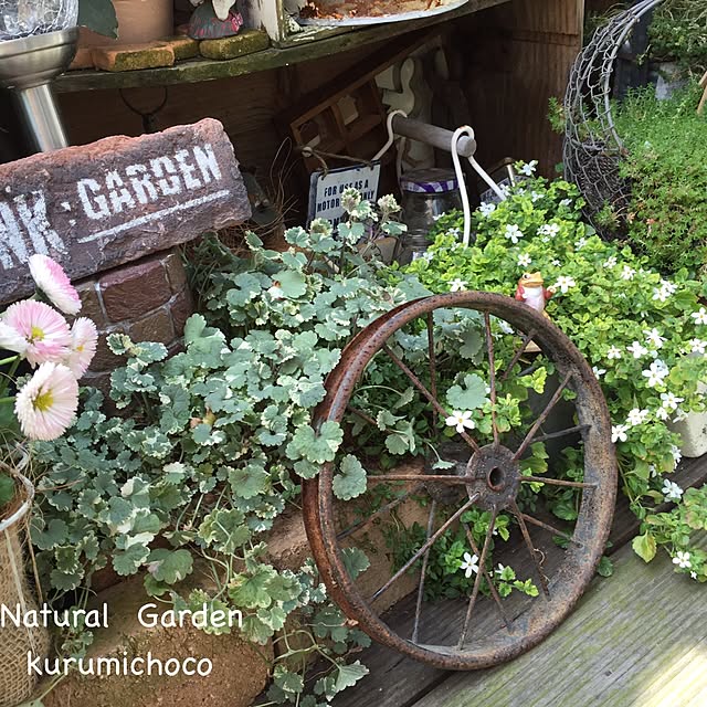kurumichocoさんの実例写真