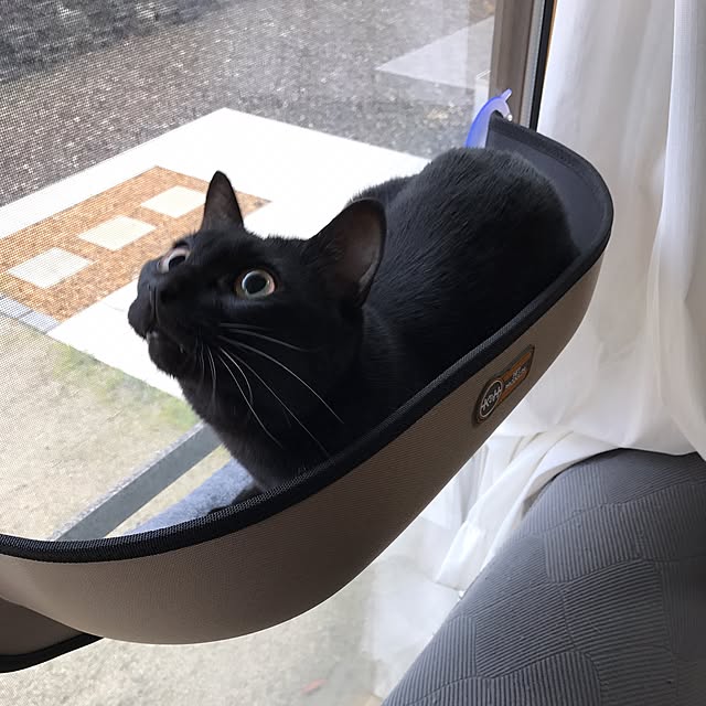 yuki0511さんの実例写真