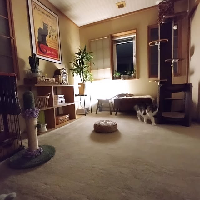 CHIKAさんの実例写真