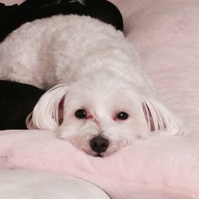 mariaさんの実例写真
