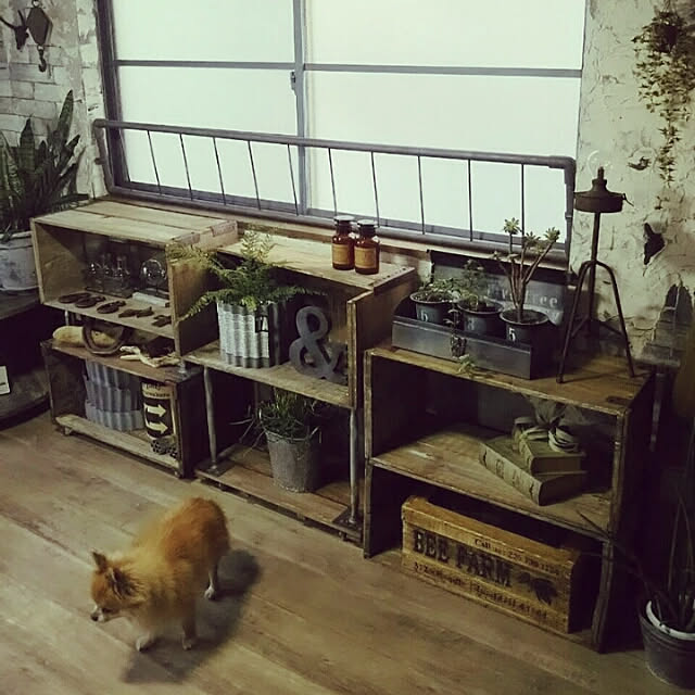 reksさんの実例写真