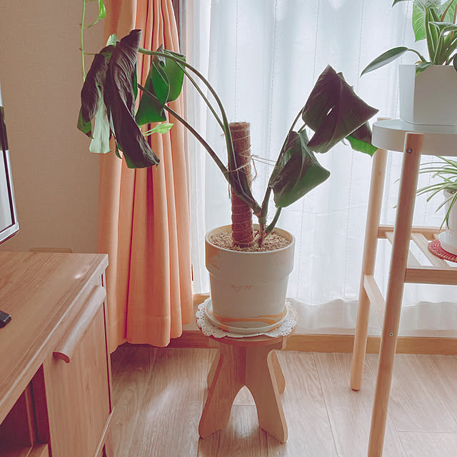 yuyuさんの部屋
