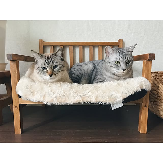ineko_kさんの実例写真
