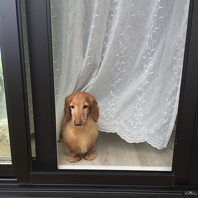 Kyoko.さんの実例写真