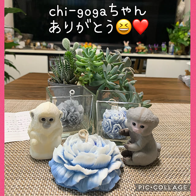Aqettyさんの実例写真