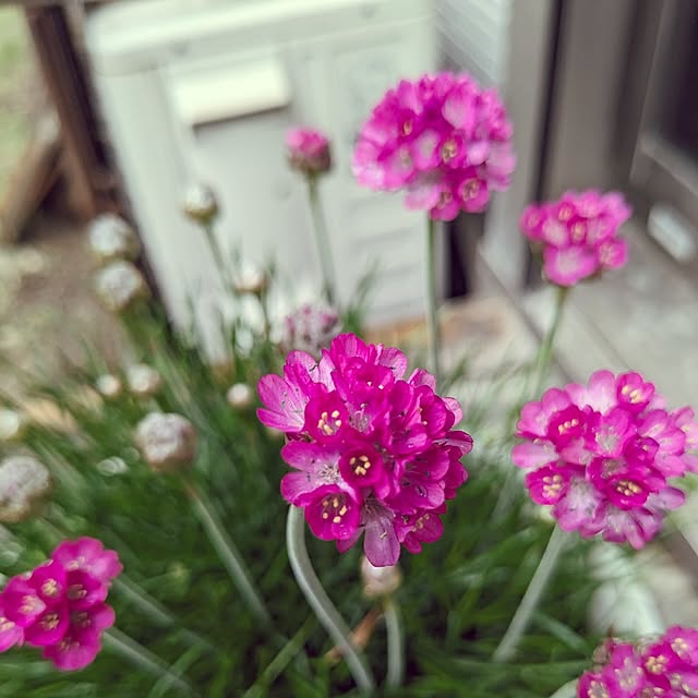 mofukoさんの部屋