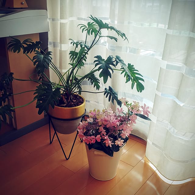 ffgreenさんの実例写真