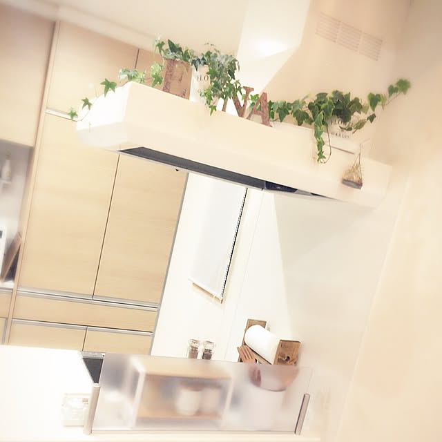 ri08033580306iwaさんの実例写真