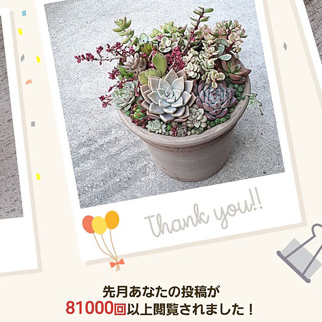 amtさんの実例写真