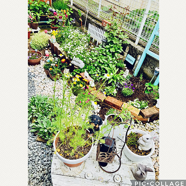 CoCo0617さんの実例写真