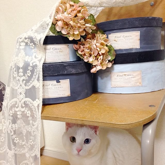 kaoさんの実例写真