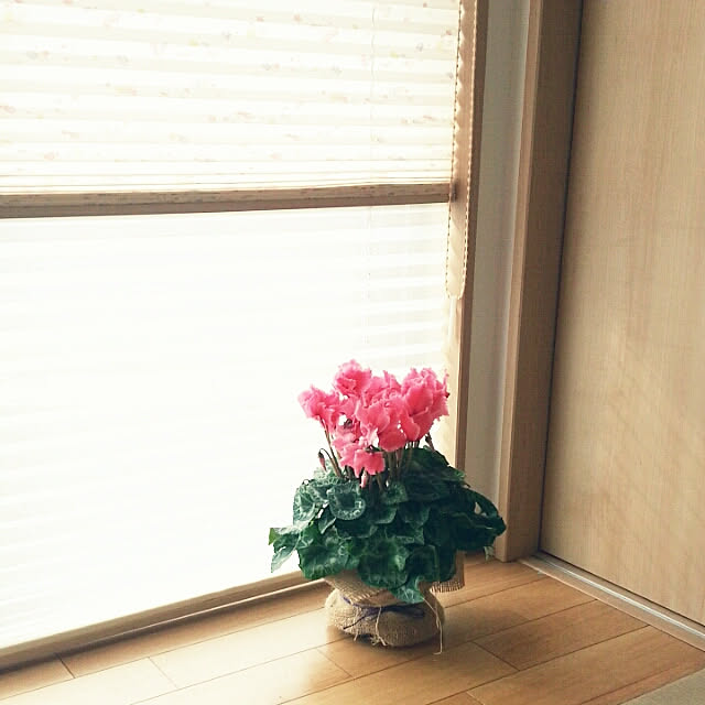 pumpkin11さんの実例写真