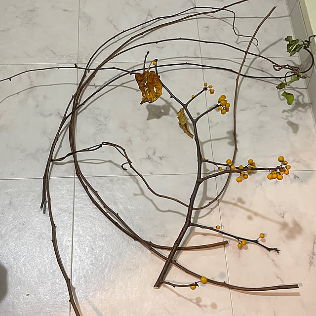 maminさんの部屋