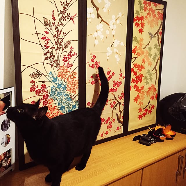 damahi1012さんの実例写真