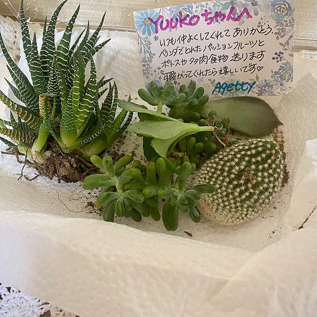 YuuKoさんの部屋