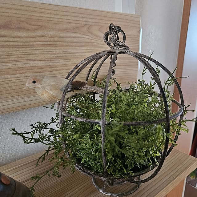 mogmogさんの部屋