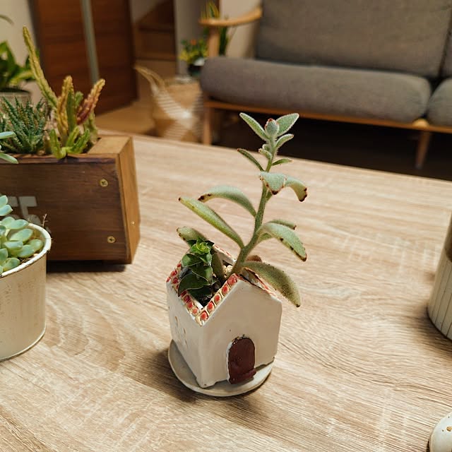 coconathuさんの部屋