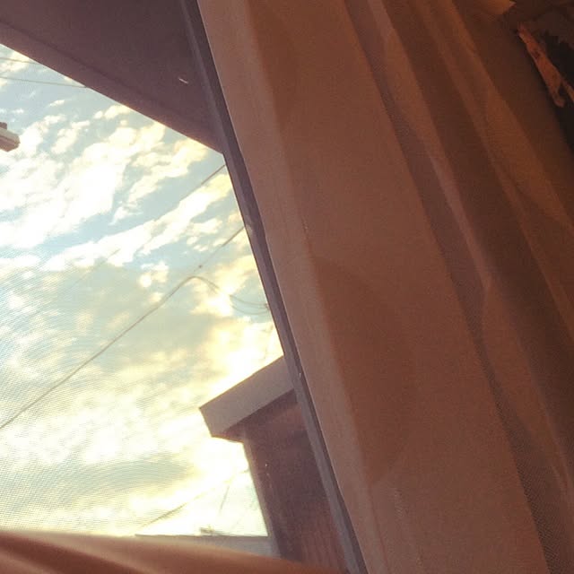 Kikiさんの実例写真