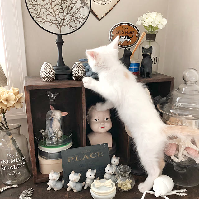 yuchiさんの実例写真