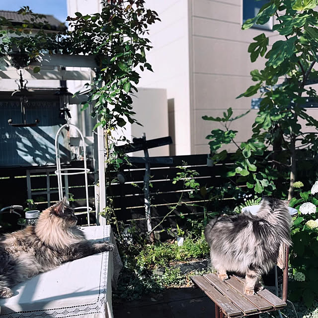 mayumiさんの部屋