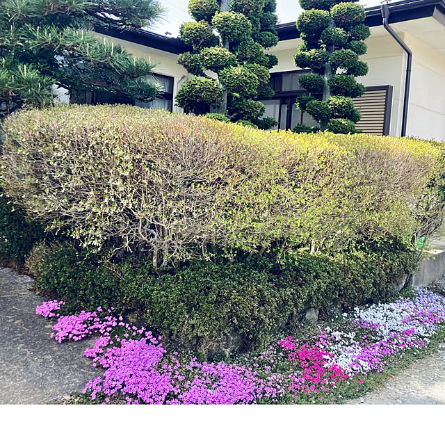 CoCo0617さんの部屋
