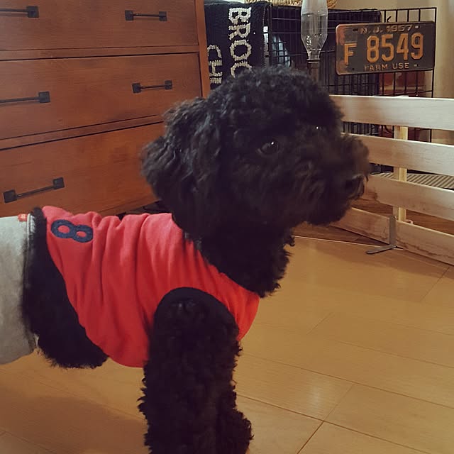 1213さんの実例写真