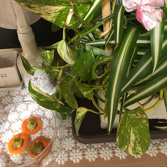 chiechanさんの実例写真