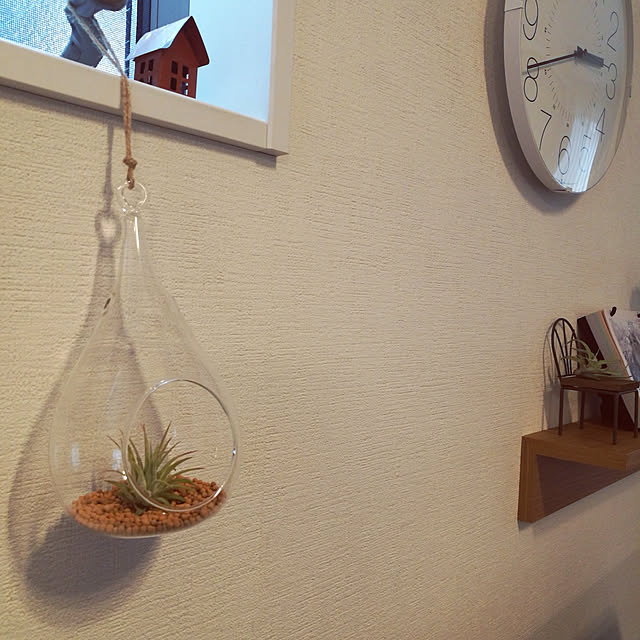 壁/天井/エアプランツ/エアープランツ/花のある暮らし/かべにつけられる家具...などのインテリア実例 - 2019-03-29 14:42:25