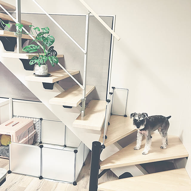 kawaii.room.naareさんの実例写真