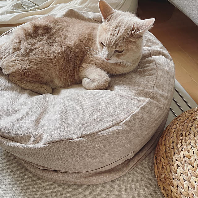 nicoさんの実例写真