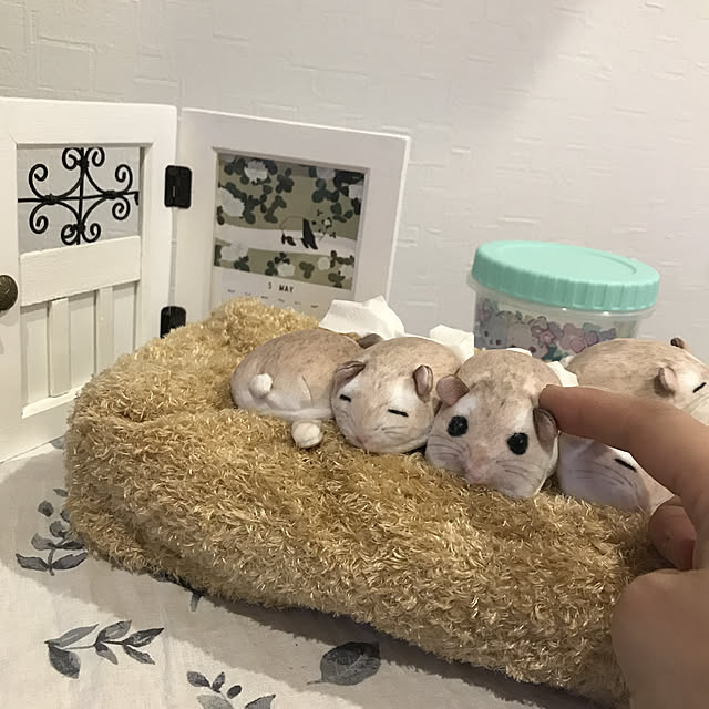 bonapetiさんの実例写真