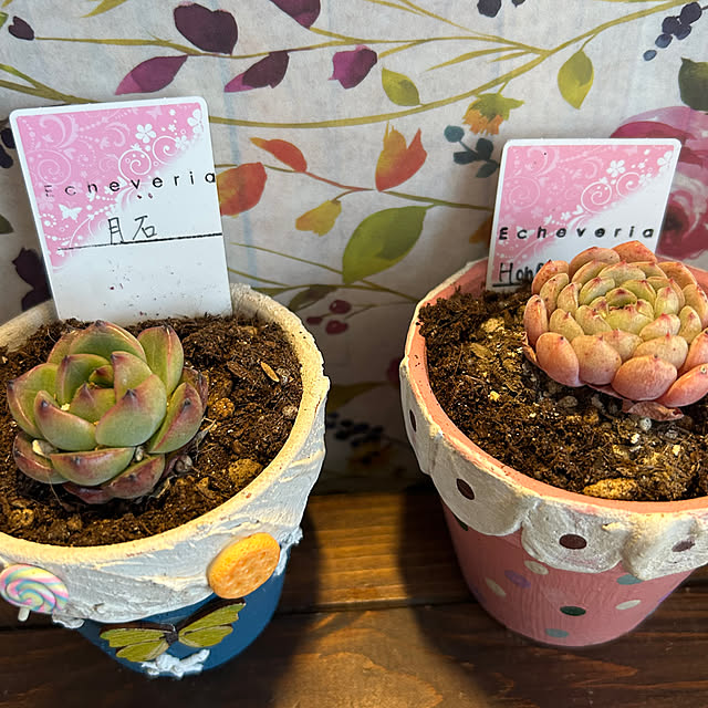 Fumiさんの部屋