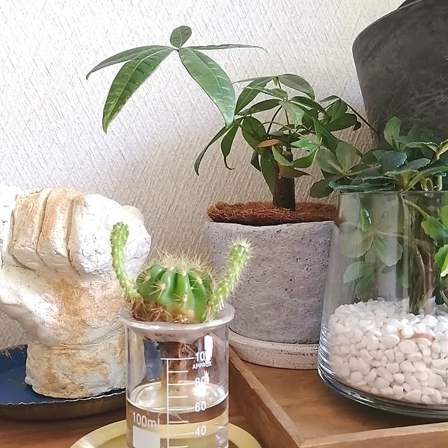 so-bokuさんの部屋