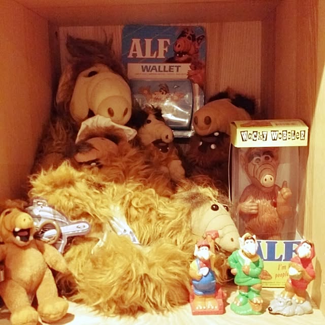 ALFさんの実例写真