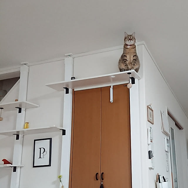 maikyさんの実例写真