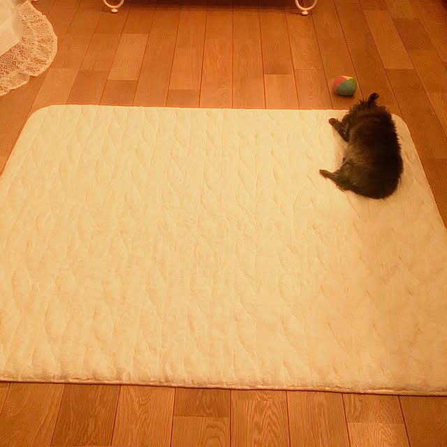 minimonさんの実例写真