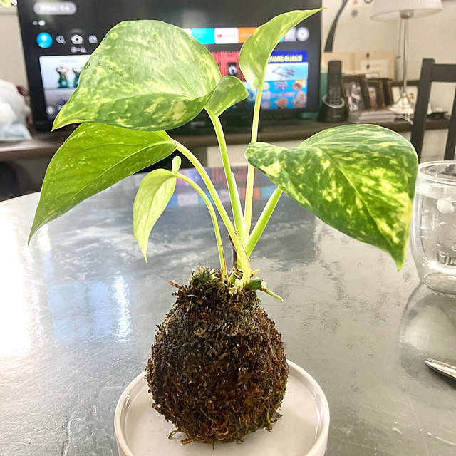 MOMOMAMAさんの部屋