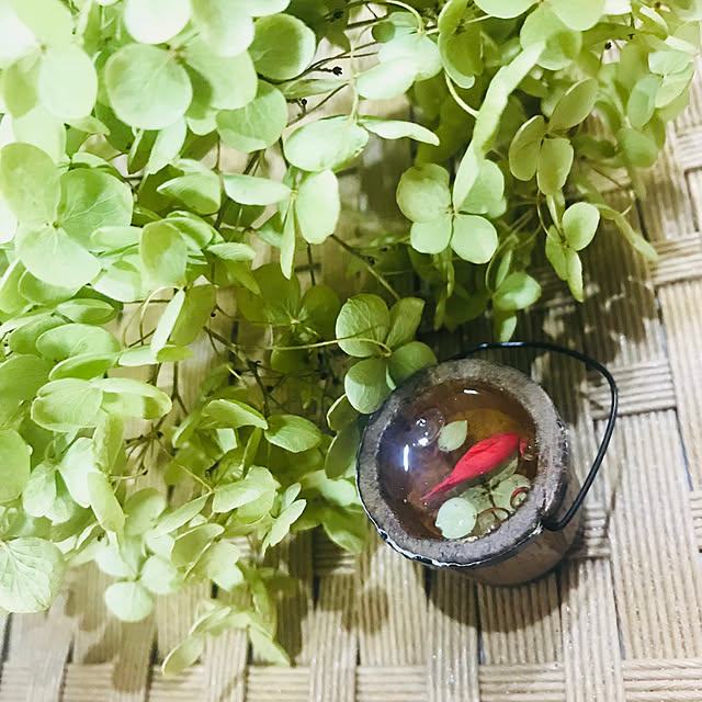 miemekkoさんの実例写真