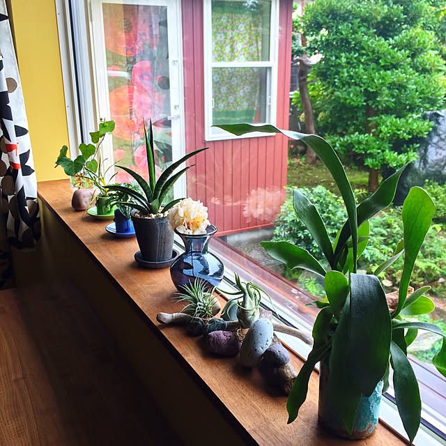1616roomさんの実例写真