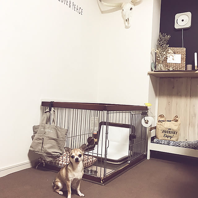 namiheeeeyさんの実例写真