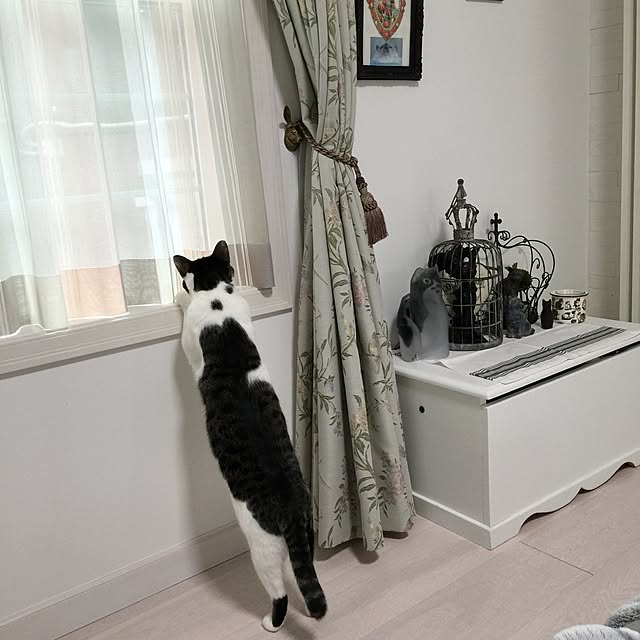 yuchiさんの実例写真